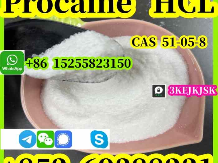 Chlorhydrate de procaïne de la meilleure qualité CAS 51-05-8 Fabricant chinois 99% de pureté 1