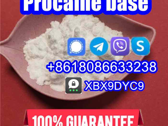 51-05-8/59-46-1/procaine hcl/procaine base 5