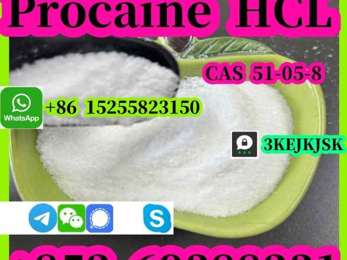 Chlorhydrate de procaïne de la meilleure qualité CAS 51-05-8 Fabricant chinois 99% de pureté 4