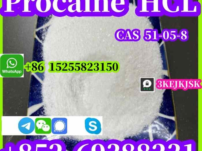 Chlorhydrate de procaïne de la meilleure qualité CAS 51-05-8 Fabricant chinois 99% de pureté 5