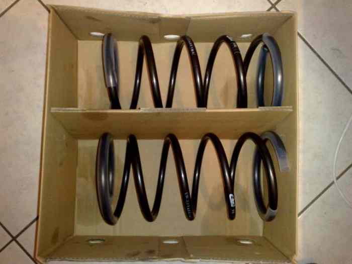 4 amortisseur viarouge + ressort court eibach saxo vts 16v 1