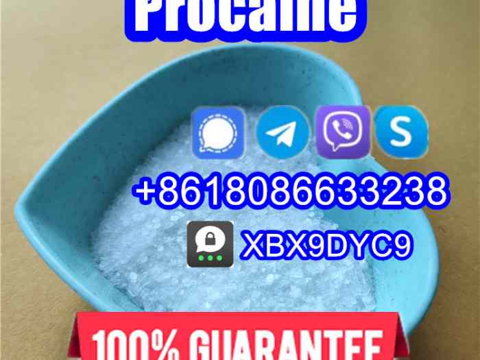 51-05-8/59-46-1/procaine hcl/procaine base 2
