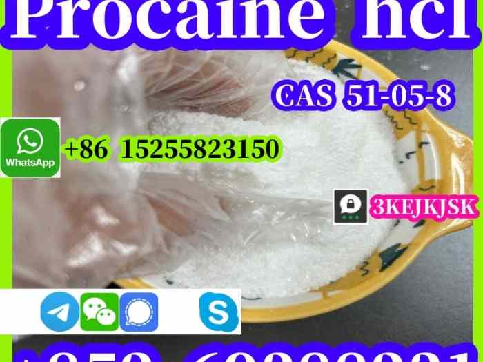 Chlorhydrate de procaïne de la meilleure qualité CAS 51-05-8 Fabricant chinois 99% de pureté 2
