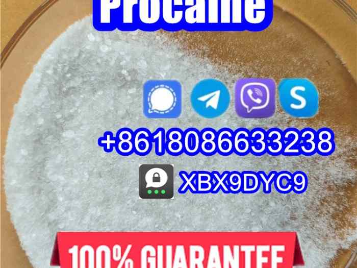 51-05-8/59-46-1/procaine hcl/procaine base 3