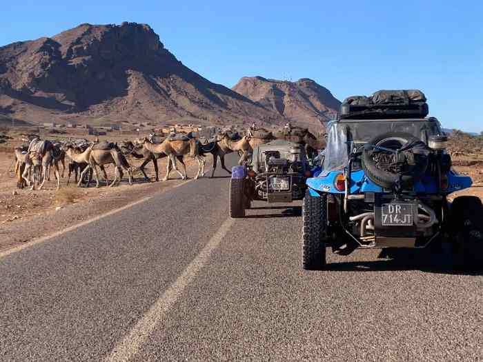 Buggy VW lm1 / Manx off road 2