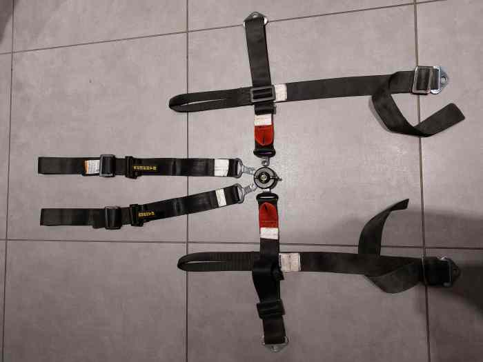 Harnais 6 points prototype monoplace e...