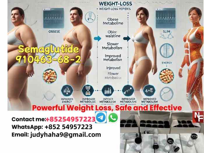 910463-68-2 Semaglutide 2023788-19-2 T...