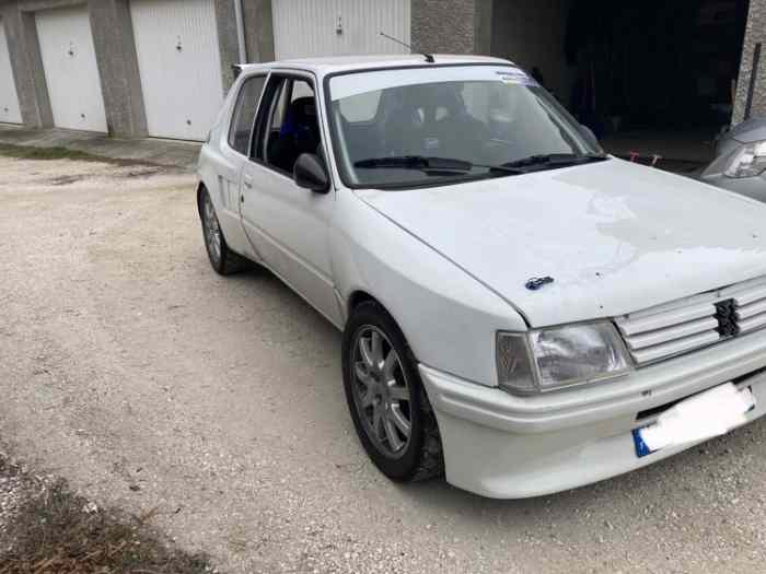 205 maxi f2000