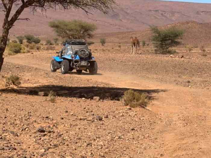 Buggy VW lm1 / Manx off road 3