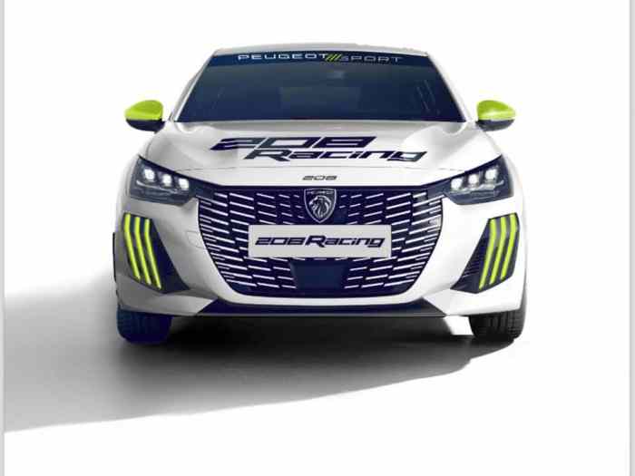 JLA rally loue la nouvelle 208 Fr6 1