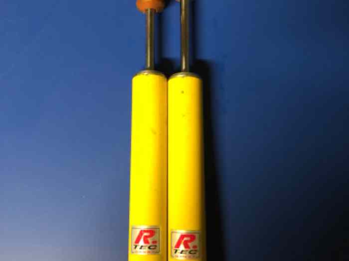 Amortisseurs bilstein retaré r tech clio 2 rs 1