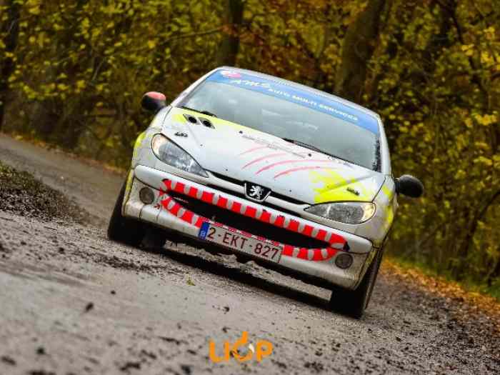 PEUGEOT 206 RCC - Arceau MATTER