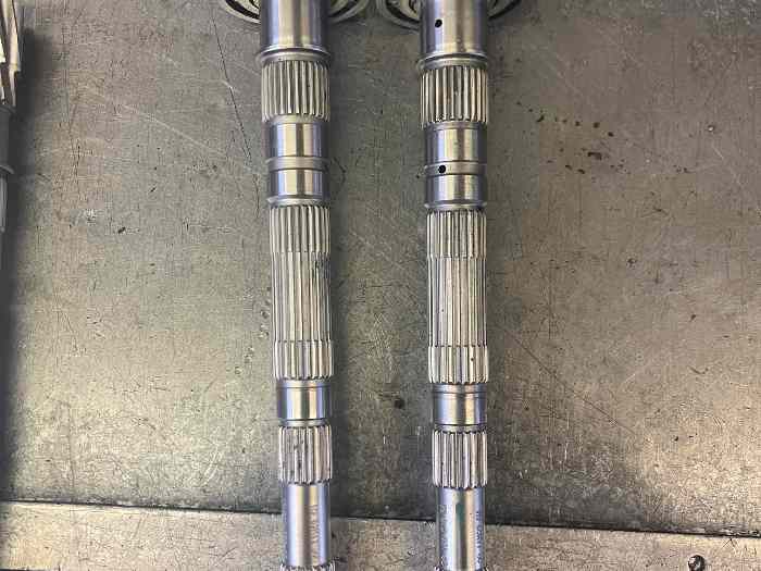 Arbres 11x69 Be 3/6