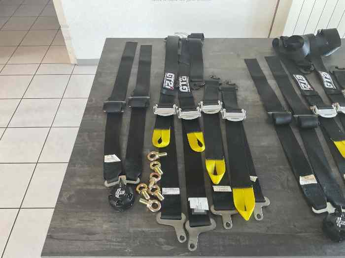Paire de harnais rallye GT2I 1