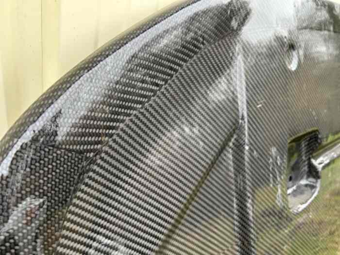 Protège carter evo X vrai carbon 1