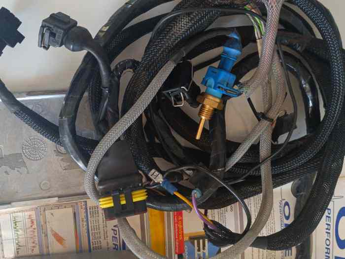 Gestion programmable OMEX 550 avec faisceau 4 cylindres 1