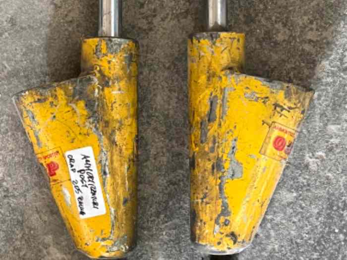 Amortisseur post pour Peugeot 205 gr A