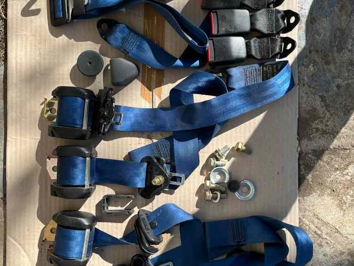 VENDUES Ensemble ceintures bleues Rena...