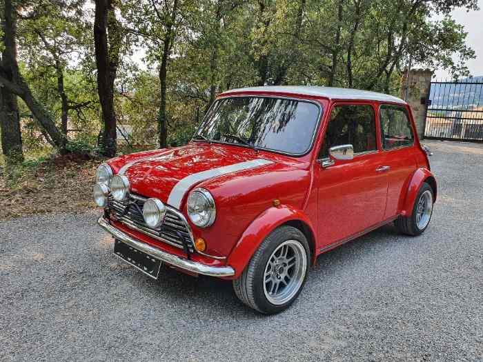 MINI 1000