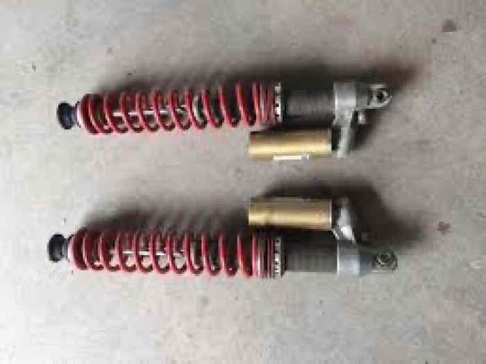 Proflex 3 voies Clio F2/14 1