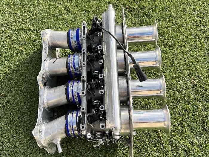 Admission 4 papillons k20 2