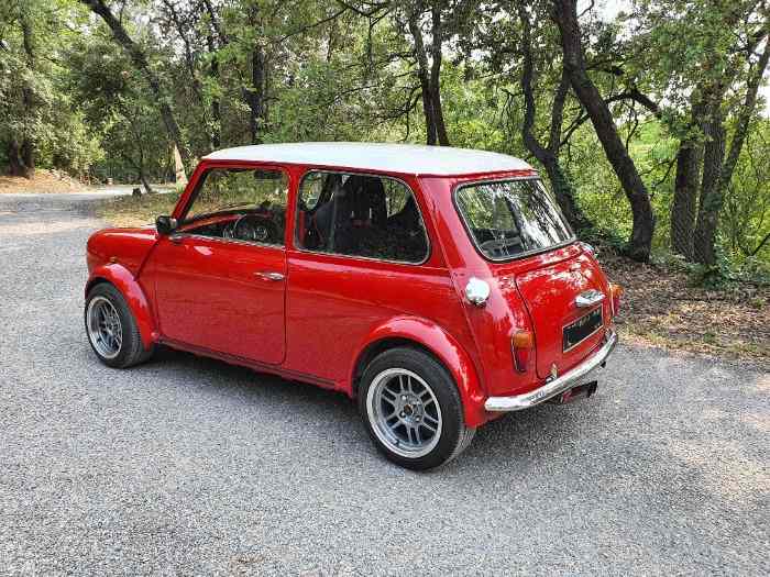 MINI 1000 2