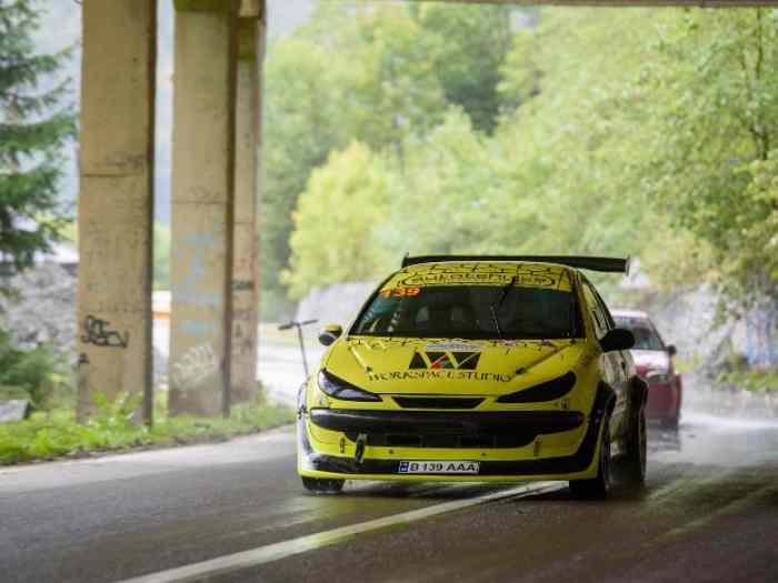 Peugeot 206 Rc