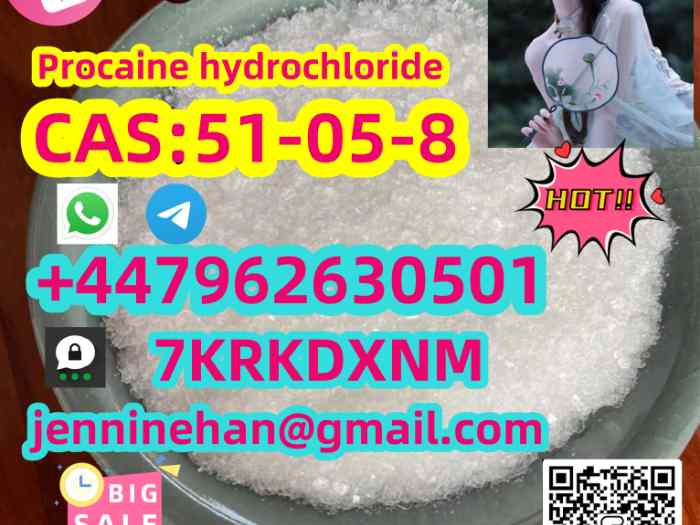 Best price Procaine for sale,buy Procaine base Procaine h cl supplier  2