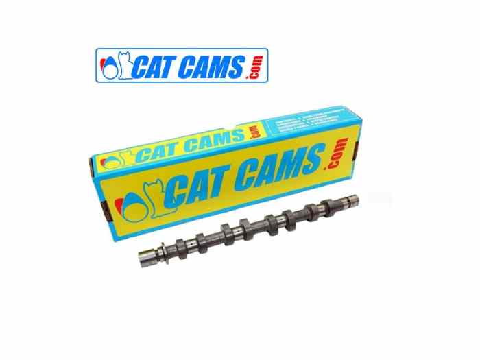 Destockage arbre à cames Catcams