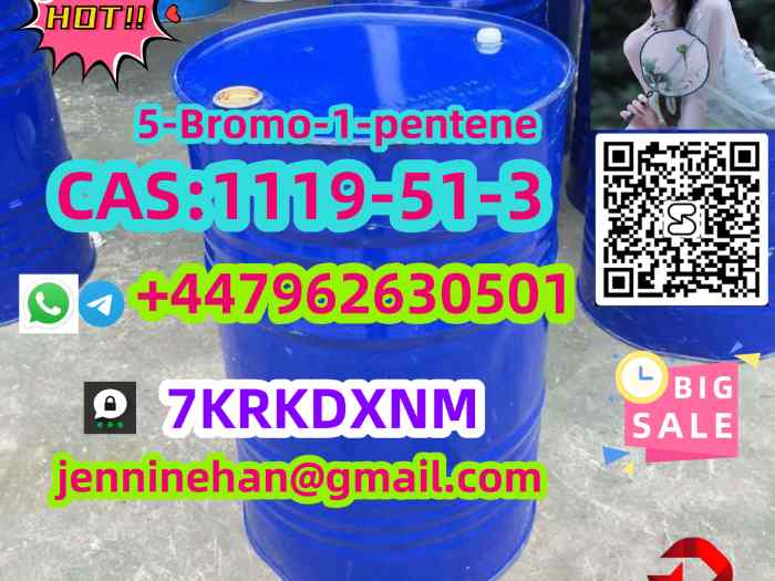 Wholesale Price 5-bro mo-1-pen ten e C AS 1119-51-3 Large Stock  5