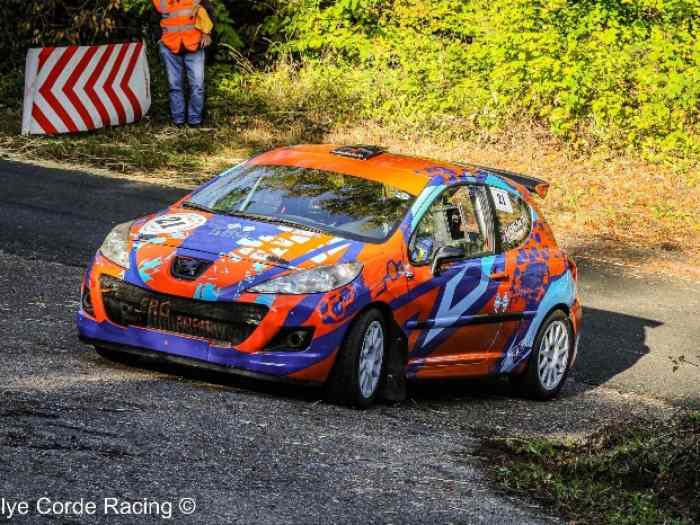 Peugeot 207 FRC4 / F2013