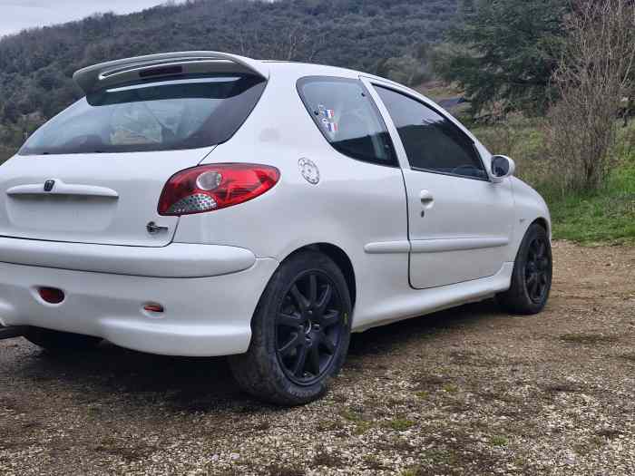 206 f2014 2