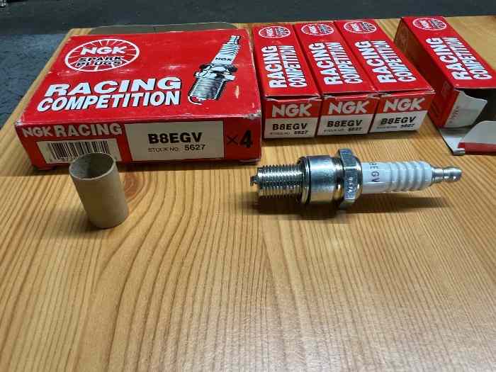 Bougies NGK B8EGV
