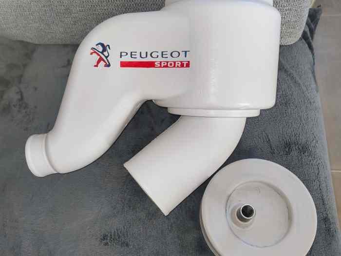 Vends Boîte à air Fibres -Polyester 207 R3T , Peugeot RCZ Cup 1