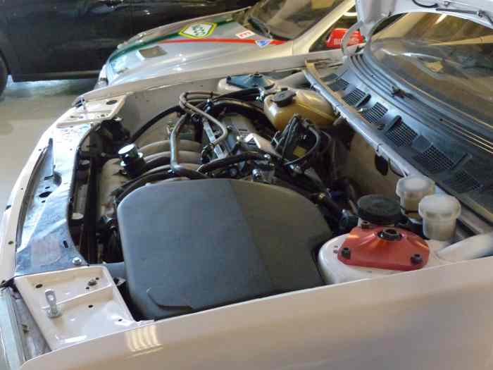 Peugeot 309 GTI 16 Groupe A - VHC - EVO 2