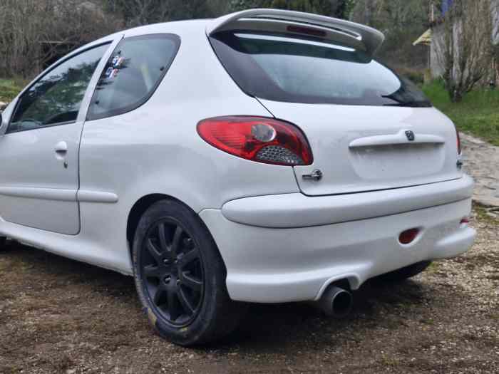 206 f2014 1