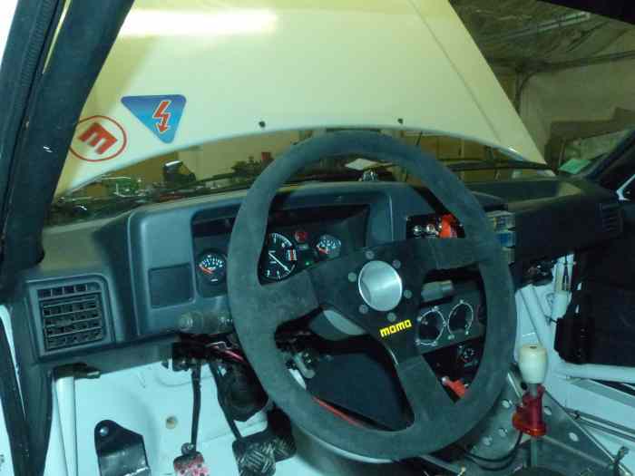 Peugeot 309 GTI 16 Groupe A - VHC - EVO 3