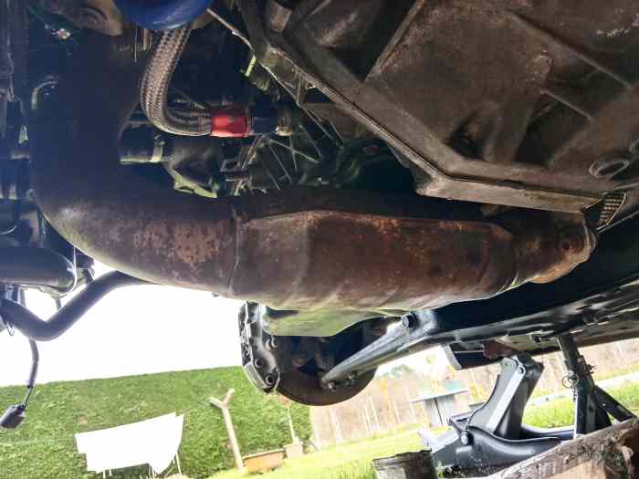 Catalyseur sport 100 cellules Ford foc...