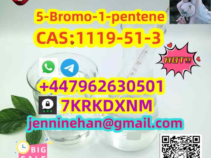 CA S 1119-51-3 High Purity 1