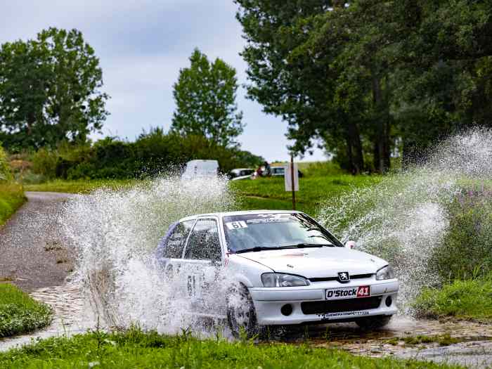 106 f2013