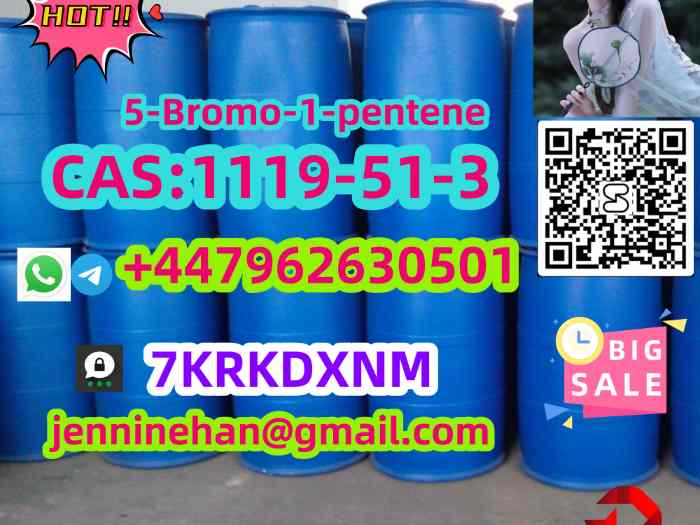 Wholesale Price 5-bro mo-1-pen ten e C AS 1119-51-3 Large Stock  3