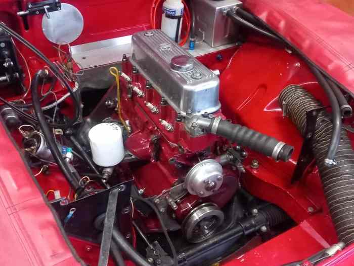 Magnifique MGB FIA 1