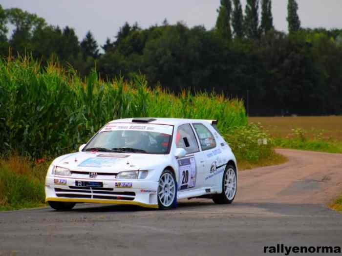 306 maxi f2014