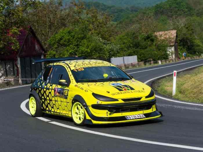 Peugeot 206 Rc 1