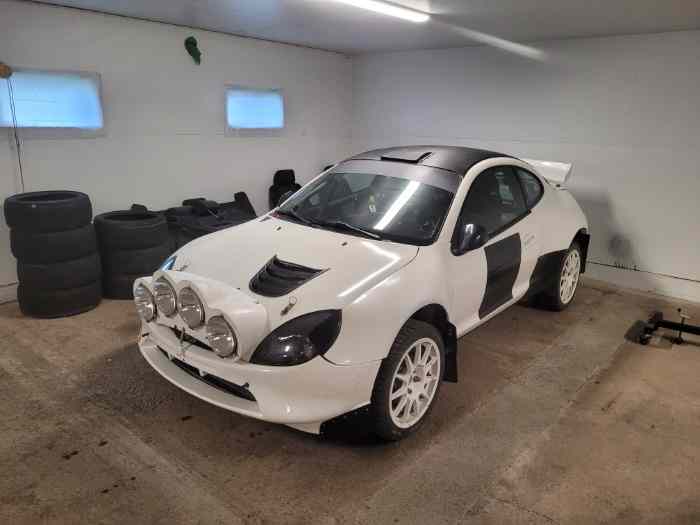 Ford Puma S1400 / S1600 Kitcar.