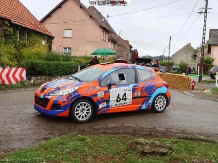 Peugeot 207 RC FRC4 / F2013