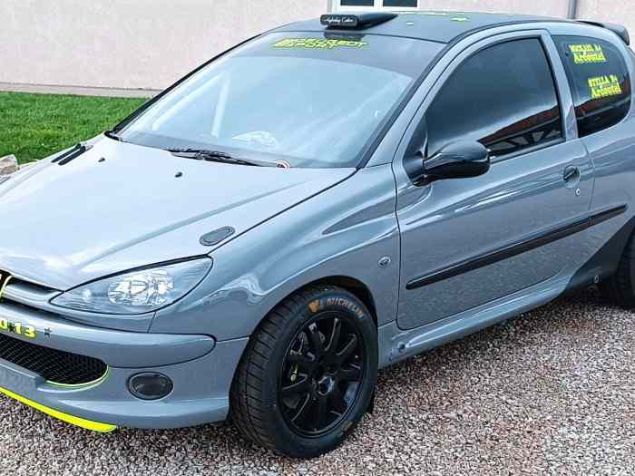 206 f2013