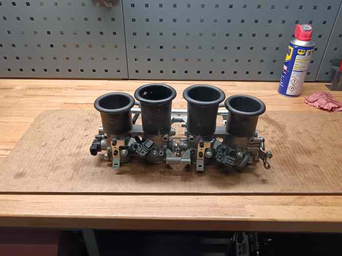 4 papillons ZZR 3