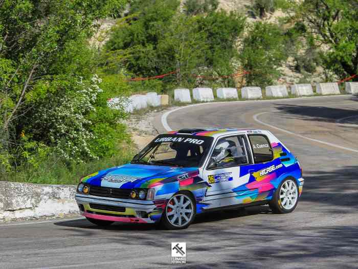 PEUGEOT 205 GTI venta o cambio