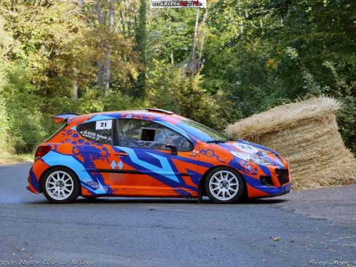 Peugeot 207 FRC4 / F2013